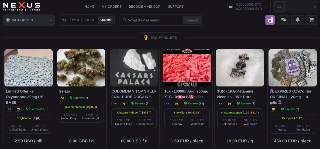 Nexus Darknet Marketplace Homepage